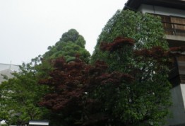 作業後