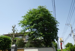 IMGP0012